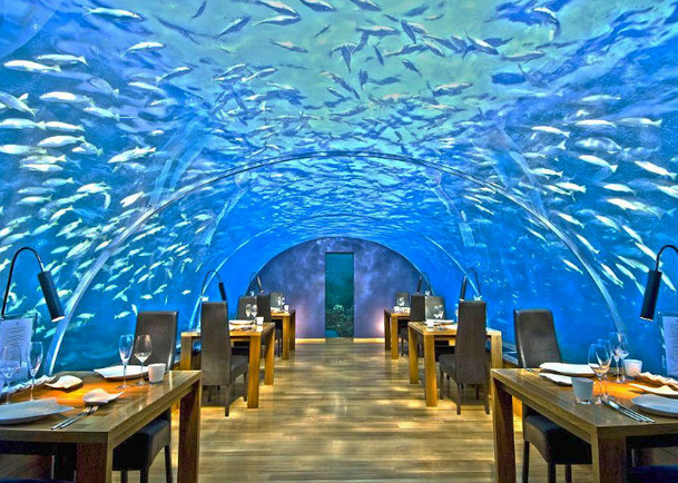 Ithaa Undersea Restaurant in Rangali Island, Maldives